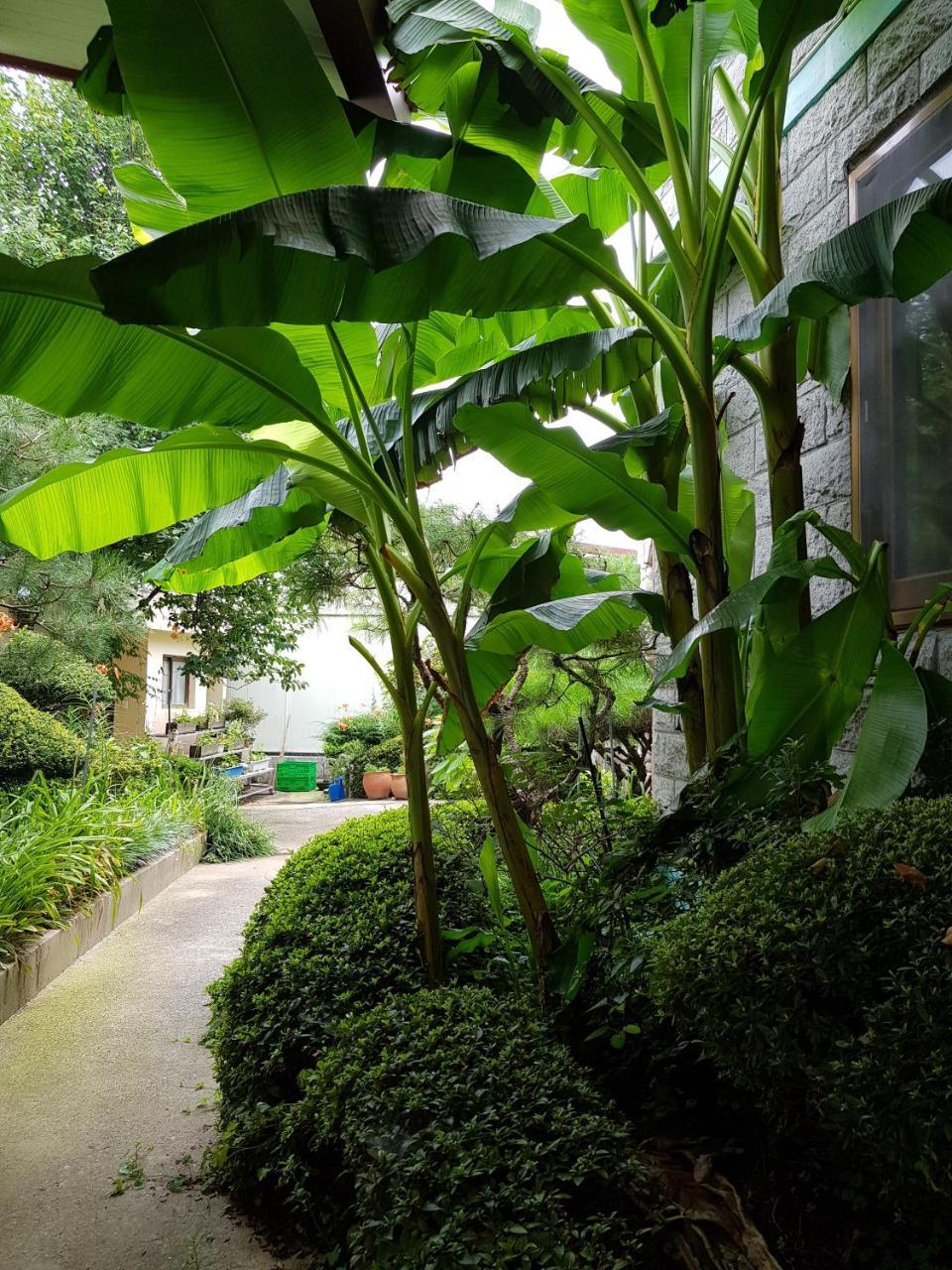Jnw Minbak Hotel Damyang Exterior foto