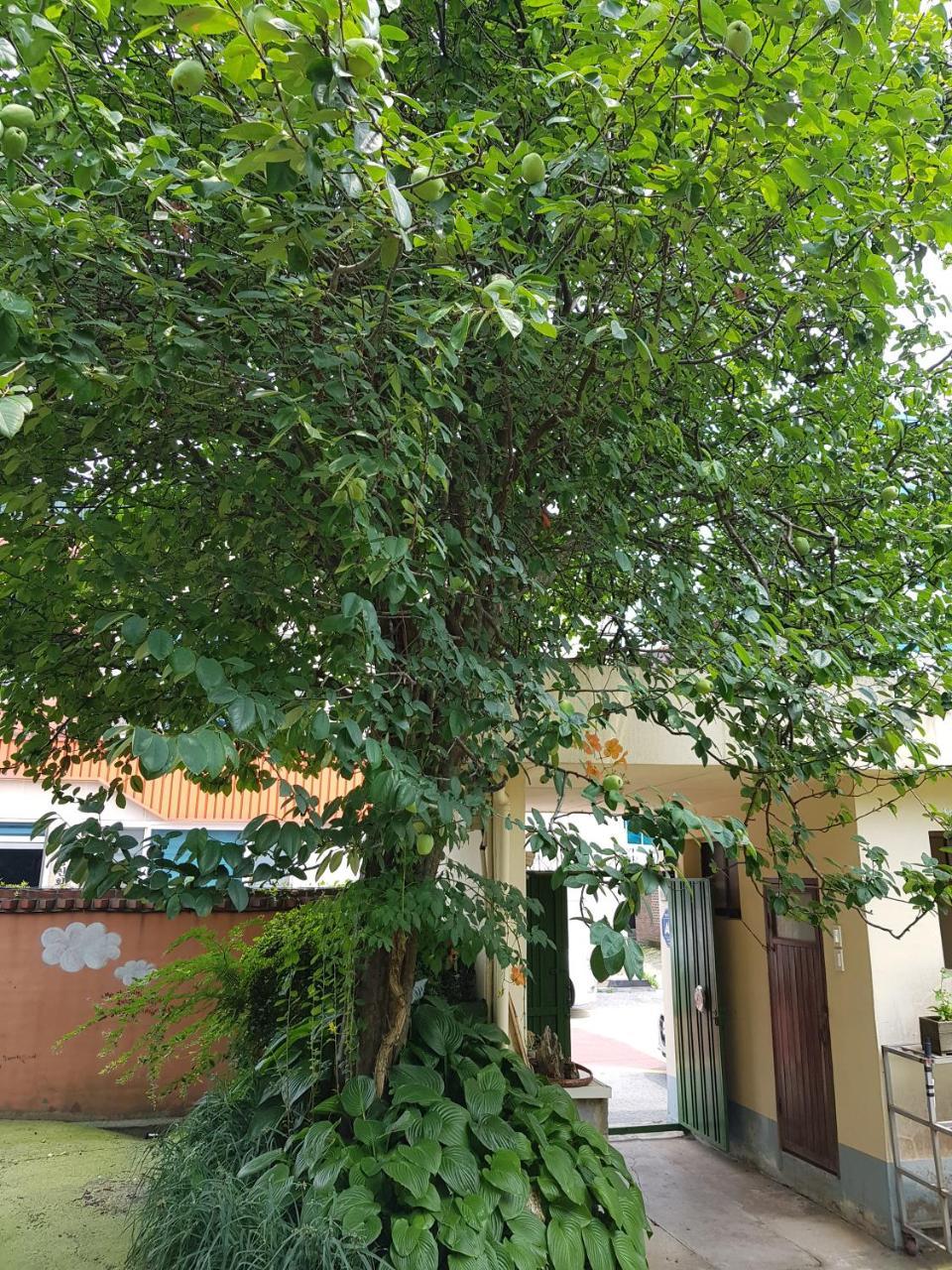 Jnw Minbak Hotel Damyang Exterior foto
