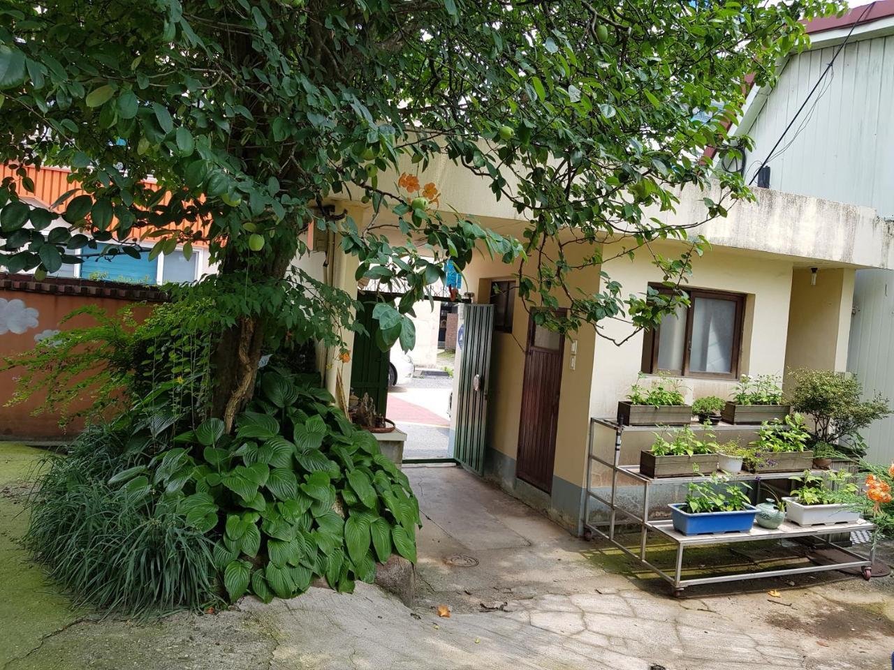 Jnw Minbak Hotel Damyang Exterior foto